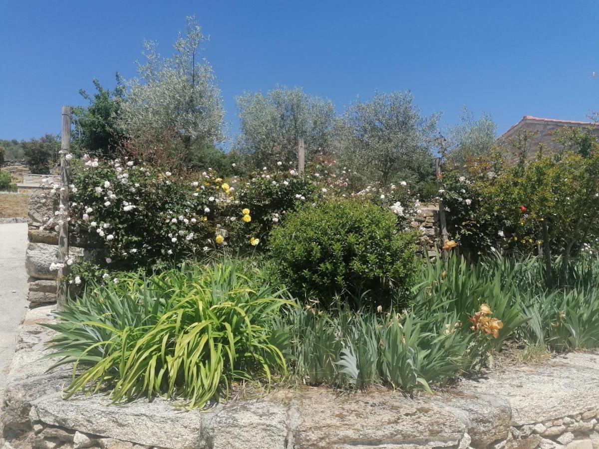 Lirios Da Granja - Casa De Campo מראה חיצוני תמונה