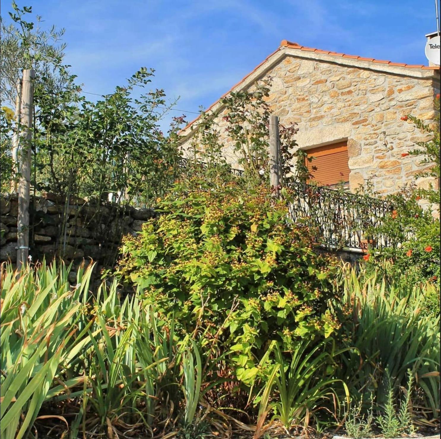 Lirios Da Granja - Casa De Campo מראה חיצוני תמונה